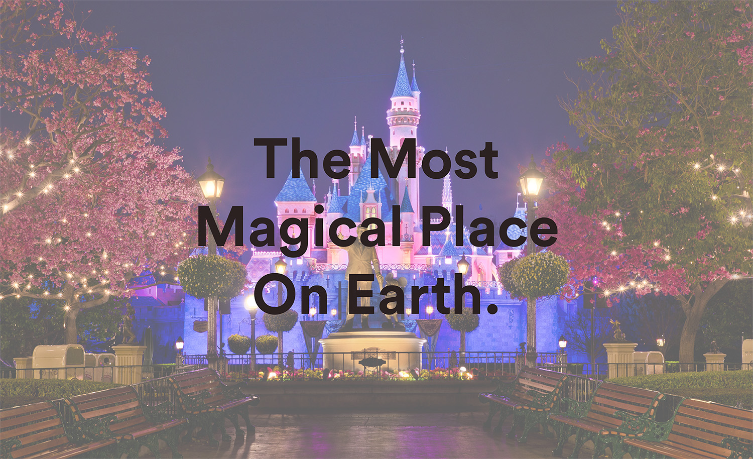 1_V_the most magical place
